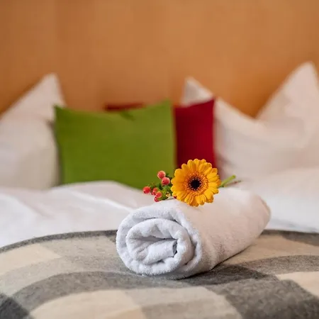 فندق Gleimingerhof - Reiteralm